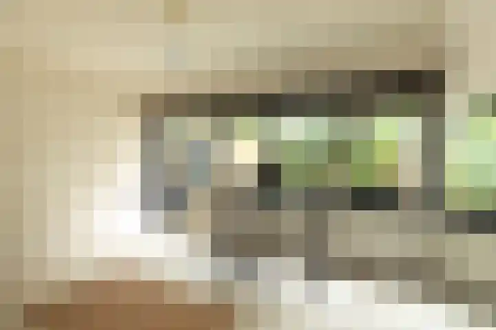 Kloosterlaan 232 Hilversum thumbnail 6