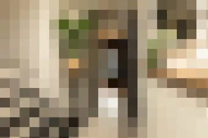Kloosterlaan 232 Hilversum thumbnail 7
