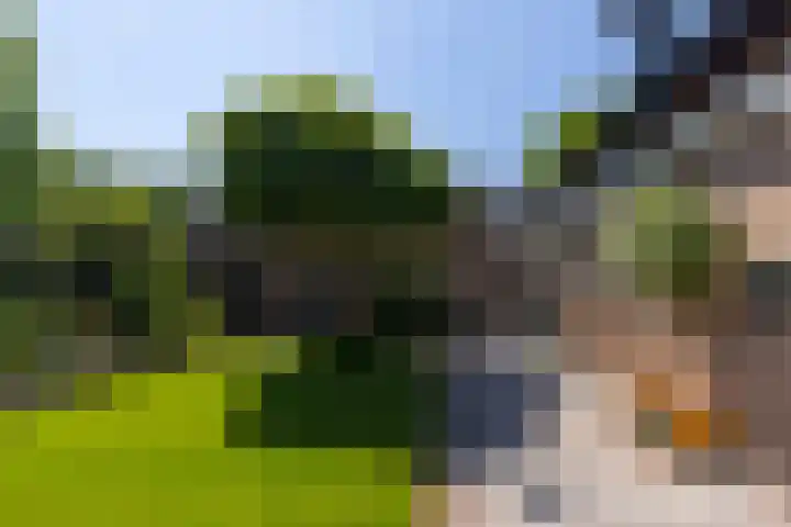 Kloosterlaan 26 Langeweg thumbnail 39