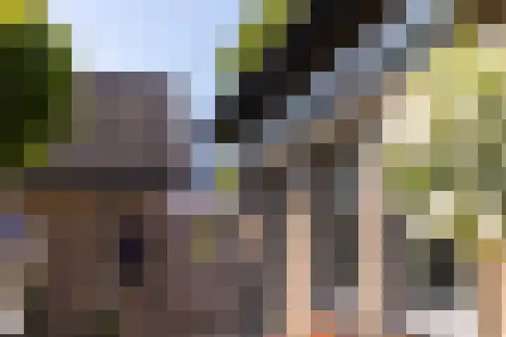 Kloosterlaan 26 Langeweg thumbnail 40