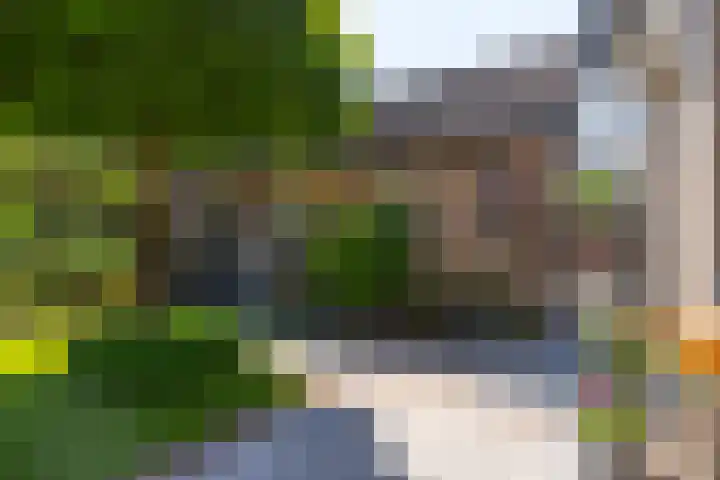 Kloosterlaan 26 Langeweg thumbnail 41