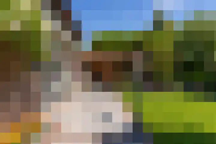 Kloosterlaan 26 Langeweg thumbnail 47