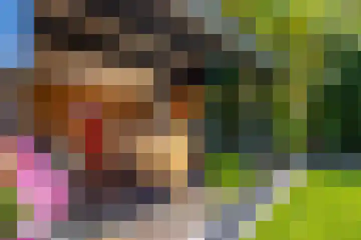 Kloosterlaan 26 Langeweg thumbnail 49