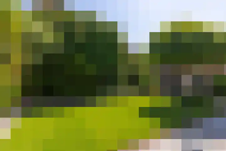 Kloosterlaan 26 Langeweg thumbnail 56