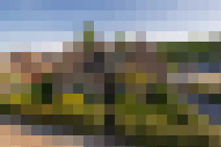 Kloosterlaan 26 Langeweg thumbnail 6