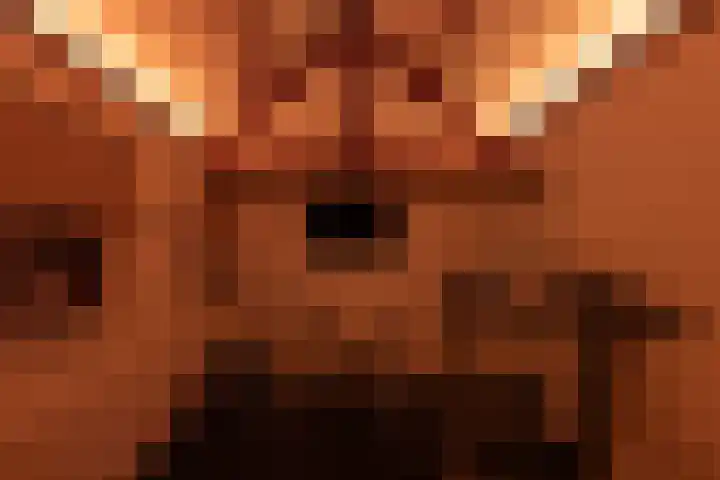 Kloosterlaan 26 Langeweg thumbnail 62