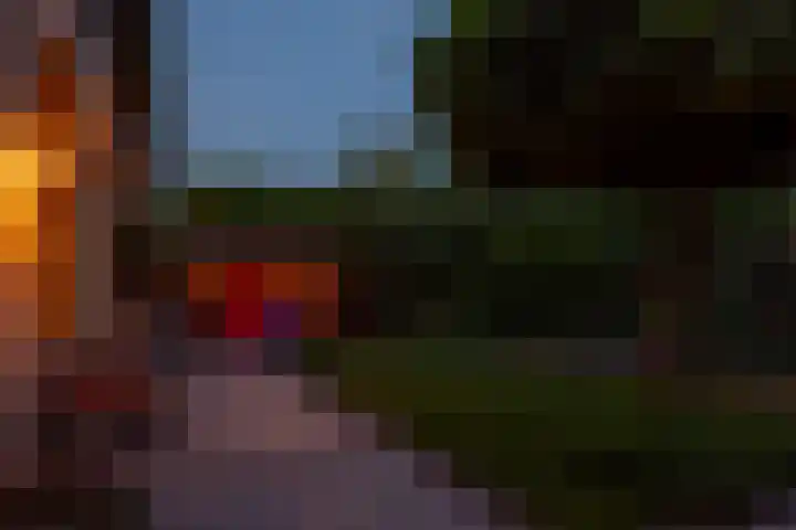 Kloosterlaan 26 Langeweg thumbnail 63