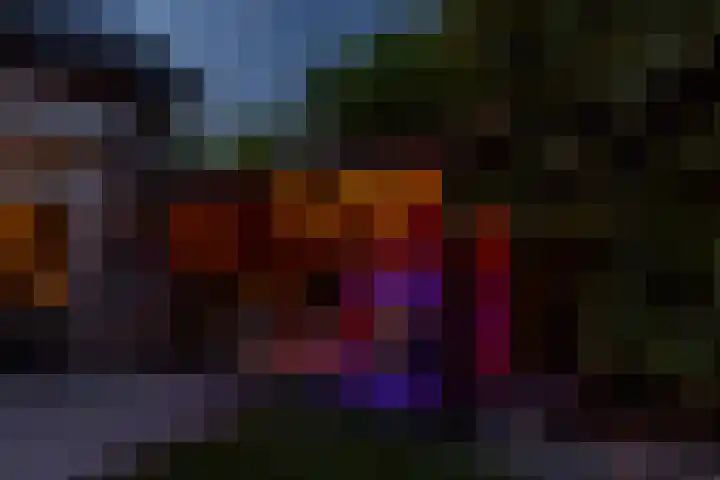Kloosterlaan 26 Langeweg thumbnail 65