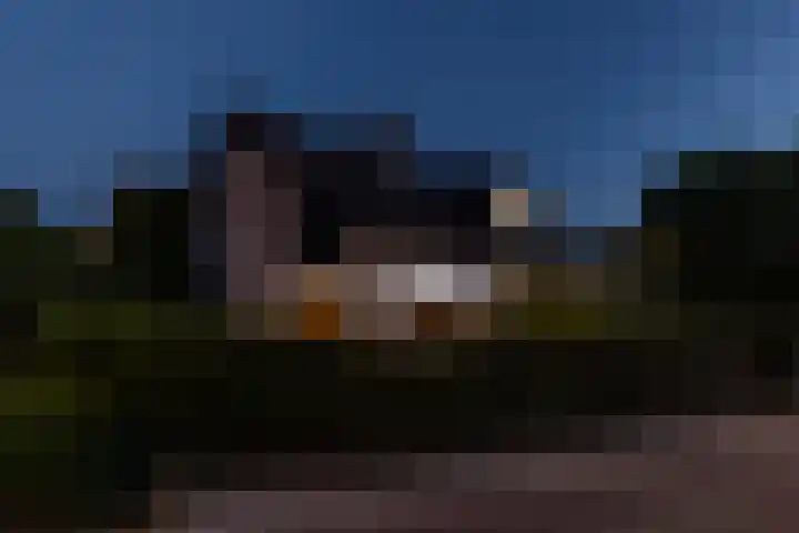 Kloosterlaan 26 Langeweg thumbnail 69