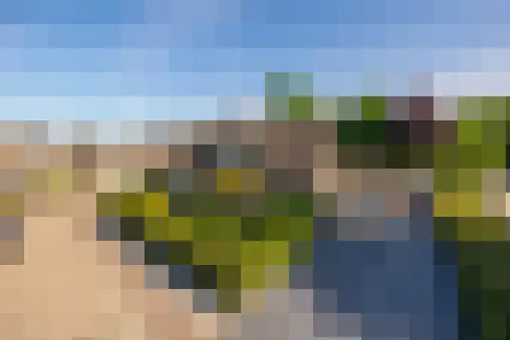 Kloosterlaan 26 Langeweg thumbnail 75