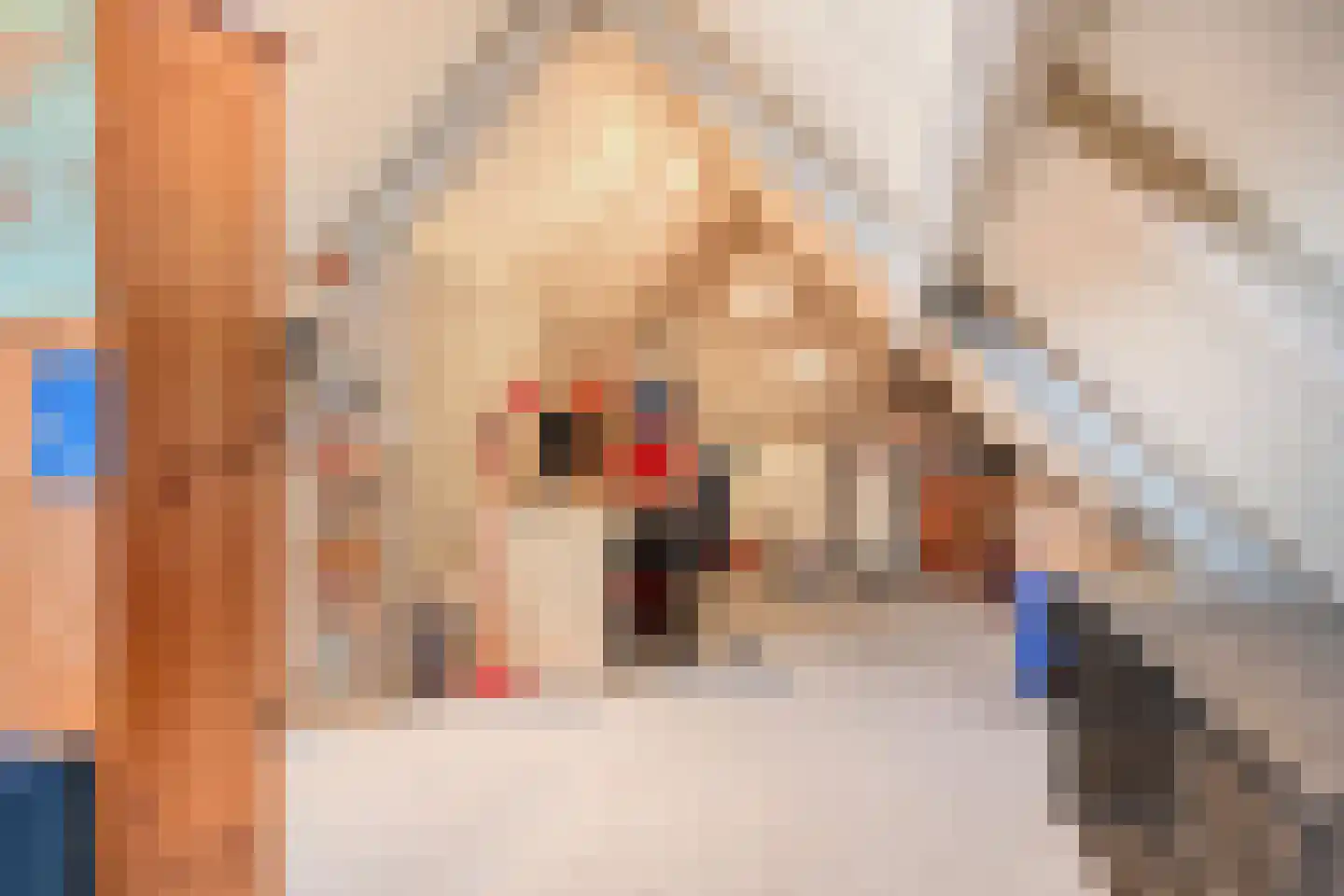 Kloosterlaan 26 's-Hertogenbosch thumbnail 13
