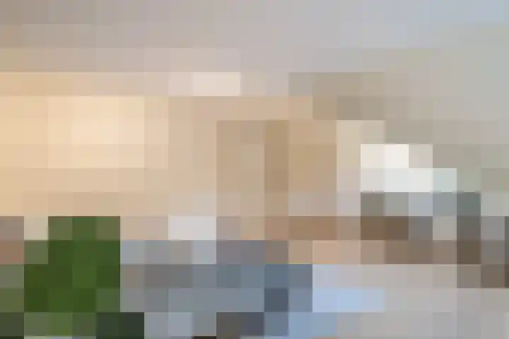 Kloosterlaan 27 Bergen (NH) thumbnail 24
