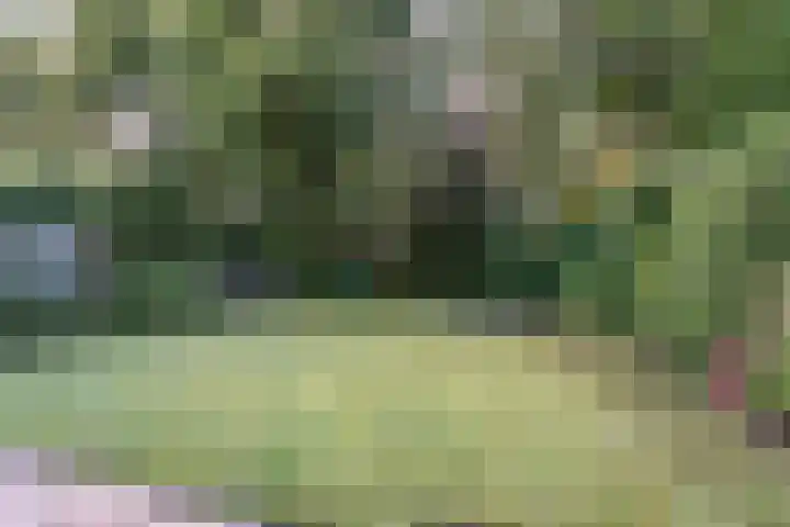Kloosterlaan 27 Bergen (NH) thumbnail 33