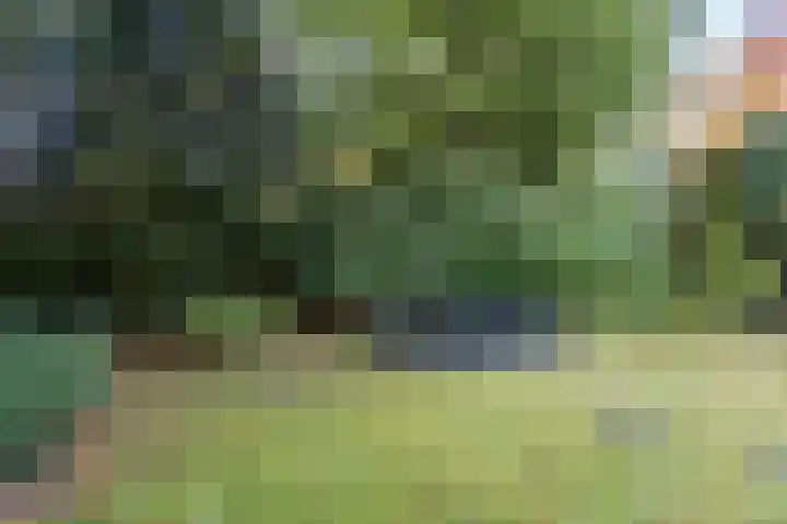 Kloosterlaan 27 Bergen (NH) thumbnail 35