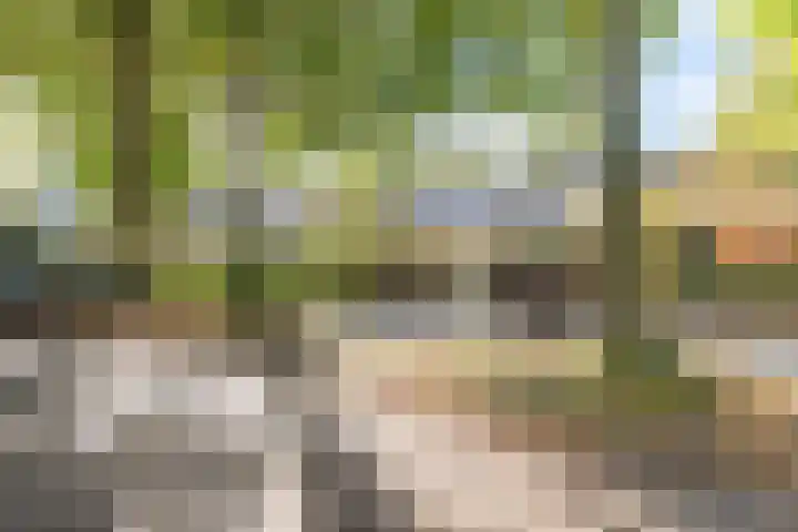 Kloosterlaan 27 Bergen (NH) thumbnail 38