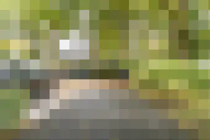 Kloosterlaan 27 Bergen (NH) thumbnail 39