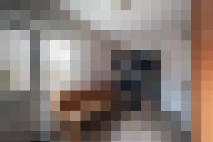 Kloosterlaan 29 Goor thumbnail 11