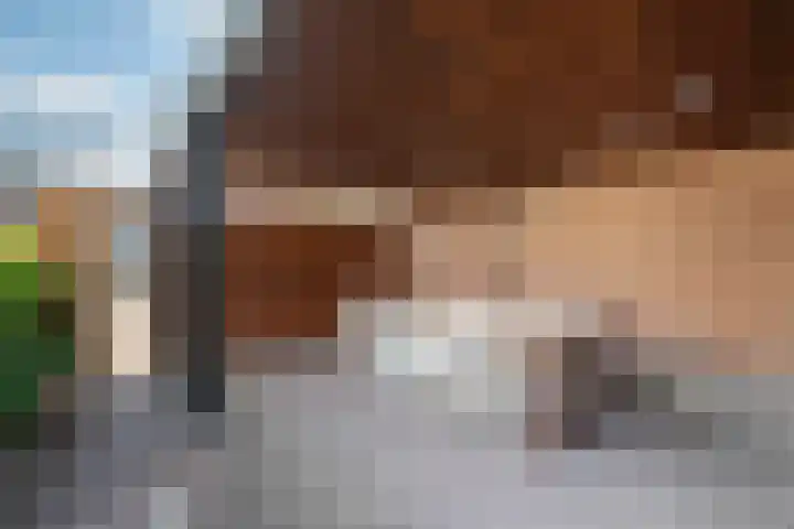 Kloosterlaan 29 Goor thumbnail 24