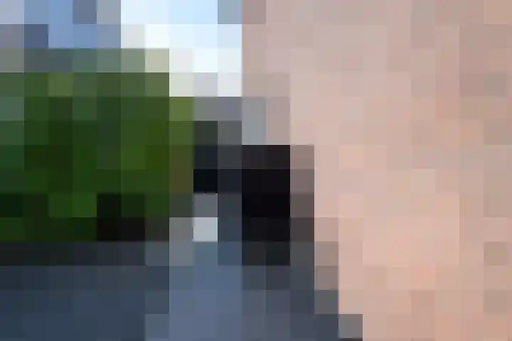 Kloosterlaan 29 Goor thumbnail 26