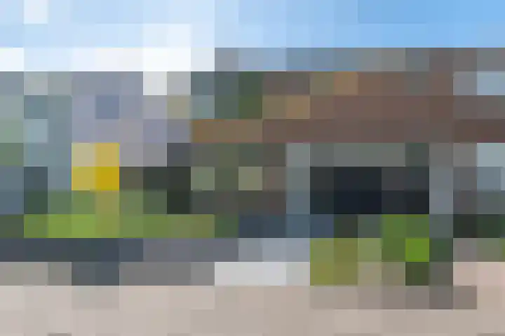 Kloosterlaan 29 Goor thumbnail 27