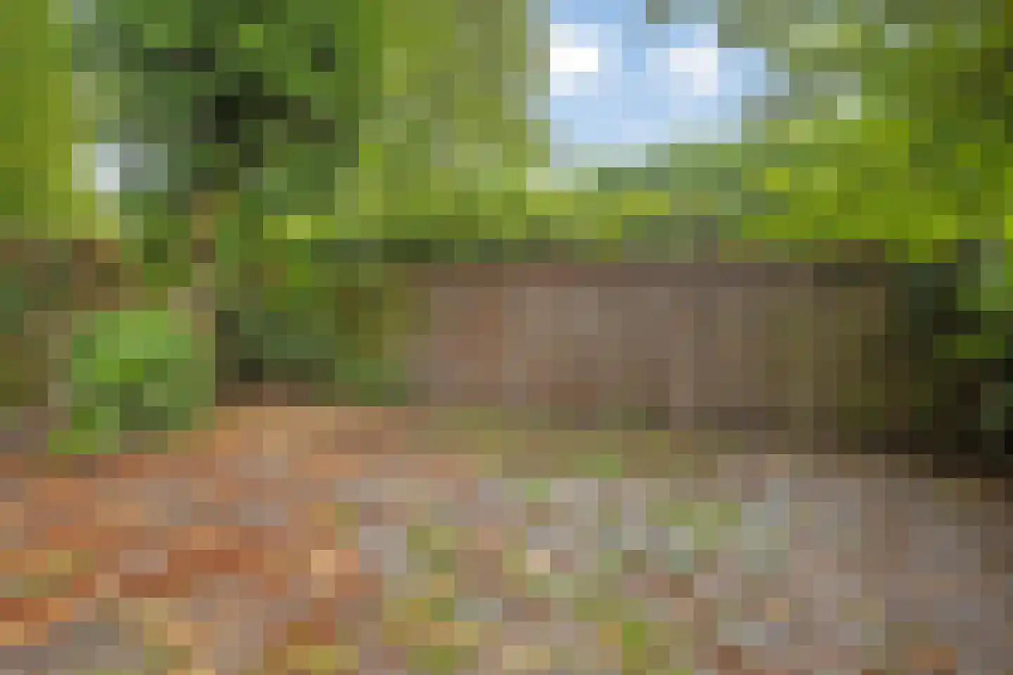 Kloosterlaan 29 Langeweg thumbnail 24