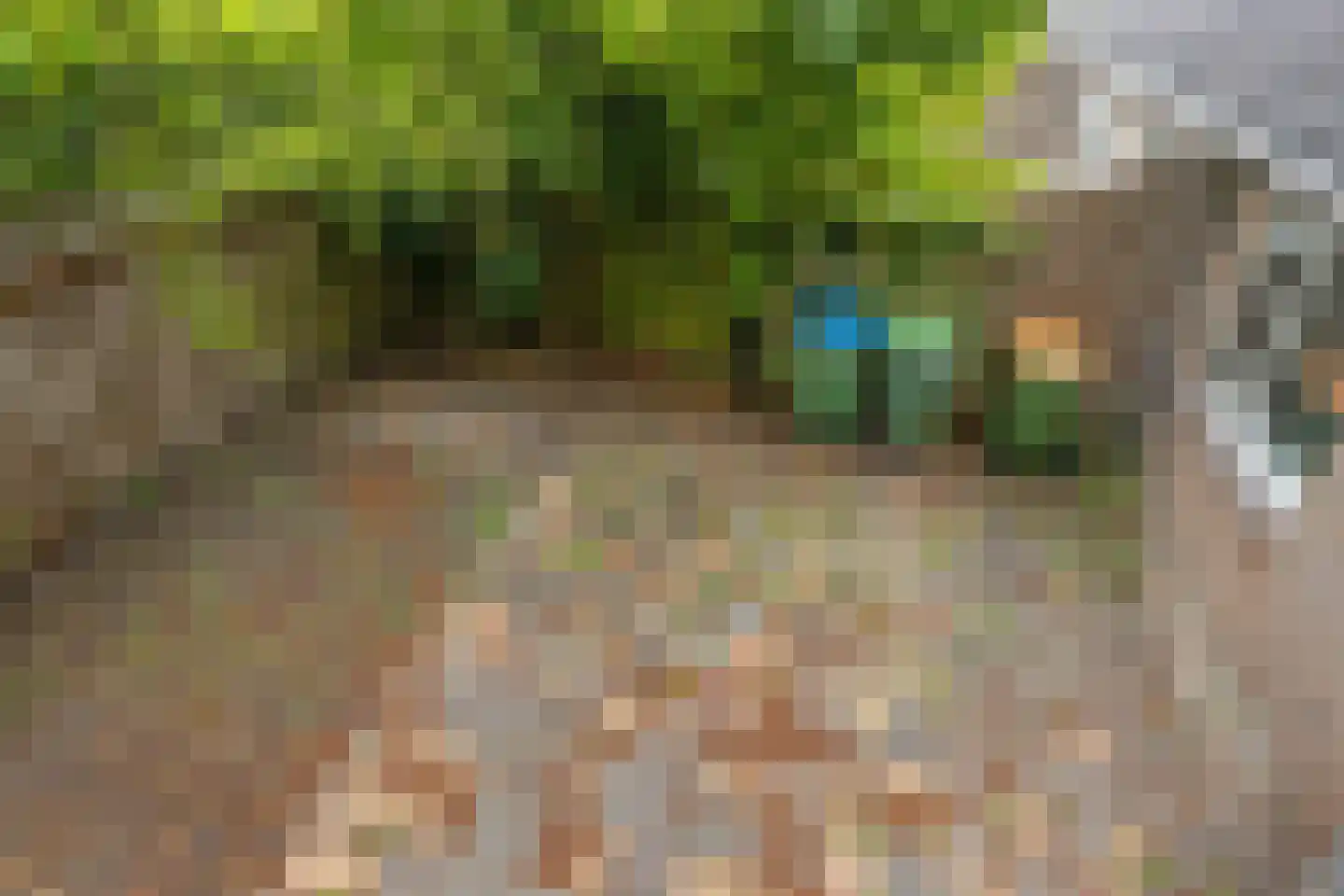 Kloosterlaan 29 Langeweg thumbnail 26