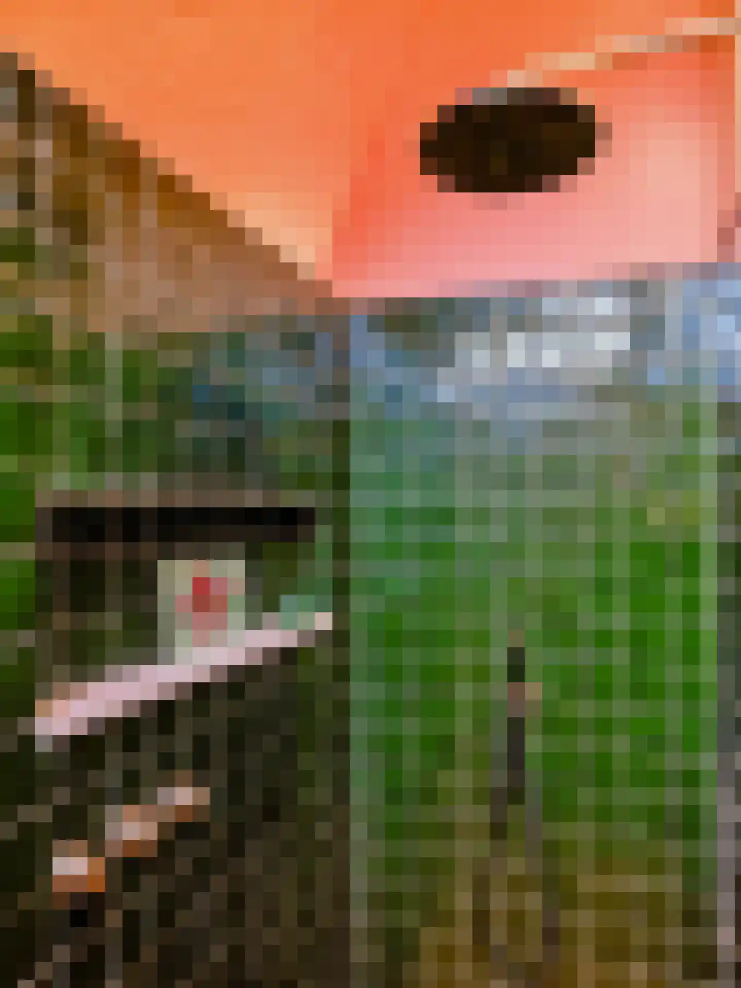 Kloosterlaan 3 Bergen (NH) thumbnail 30