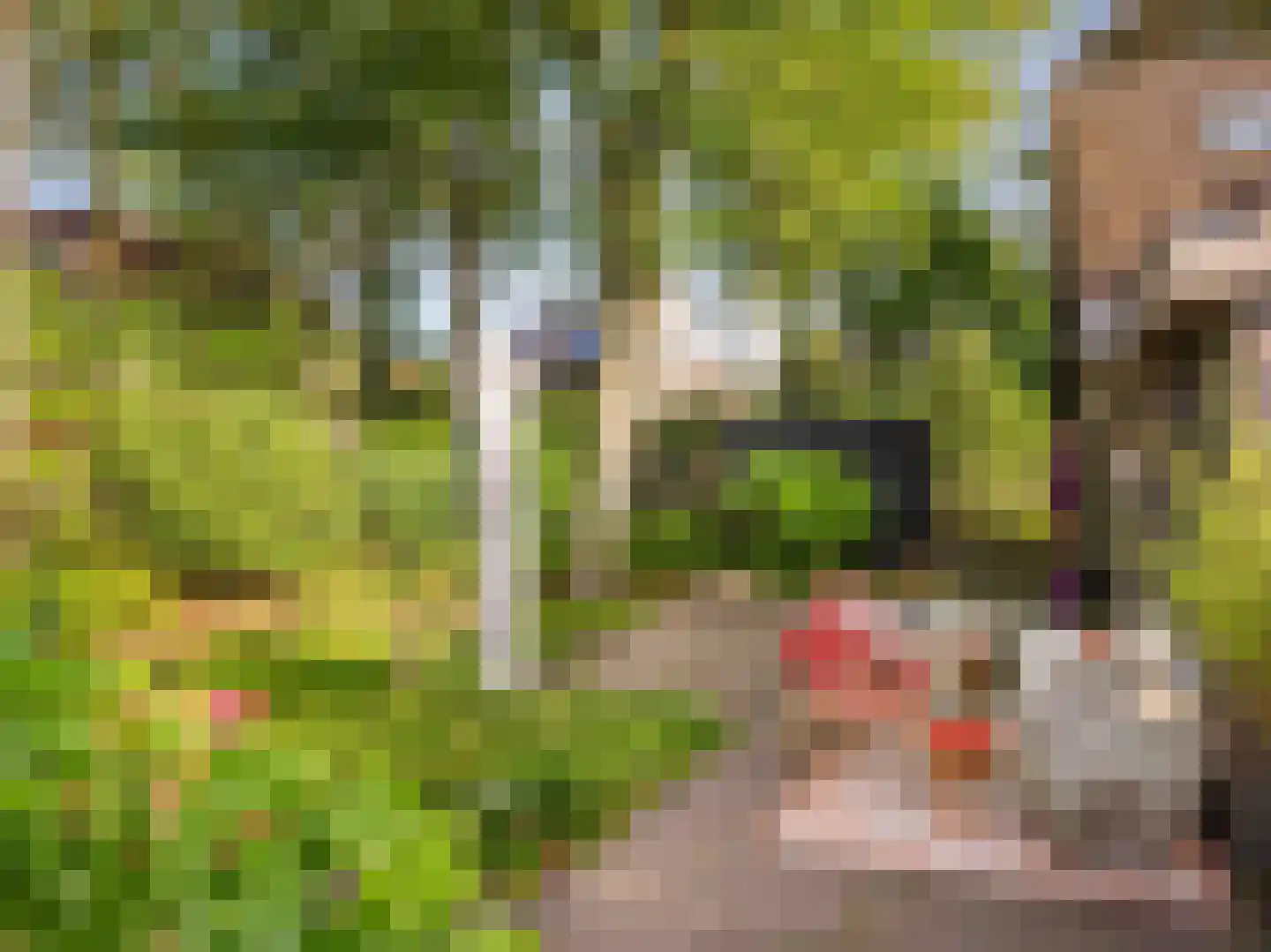 Kloosterlaan 3 Bergen (NH) thumbnail 32