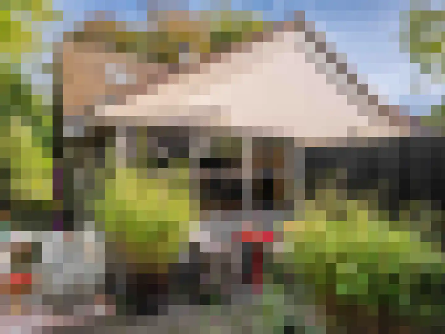 Kloosterlaan 3 Bergen (NH) thumbnail 33