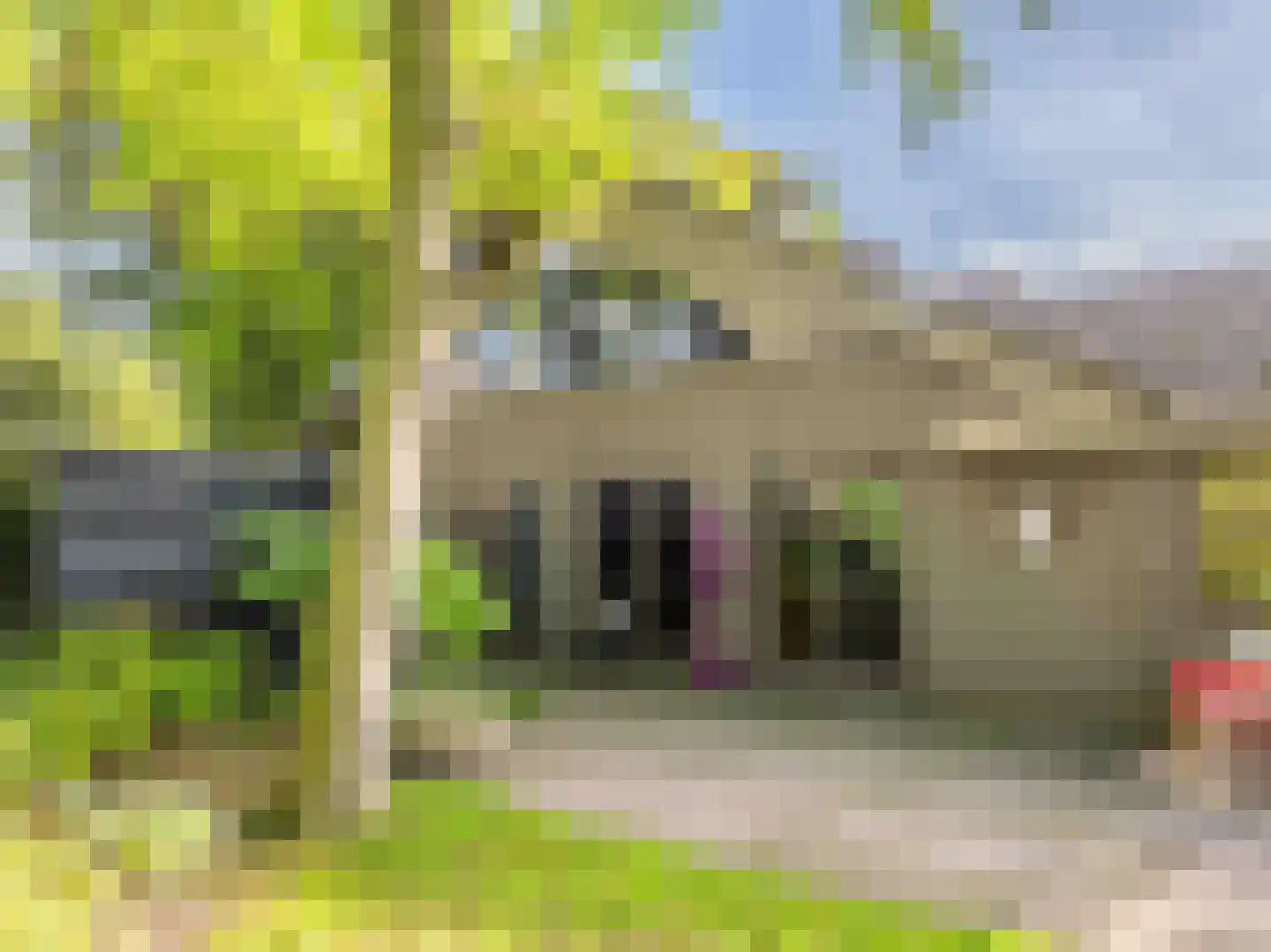 Kloosterlaan 3 Bergen (NH) thumbnail 37