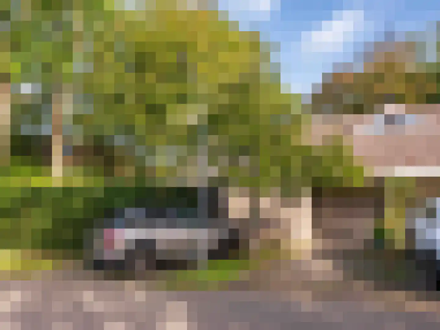 Kloosterlaan 3 Bergen (NH) thumbnail 42