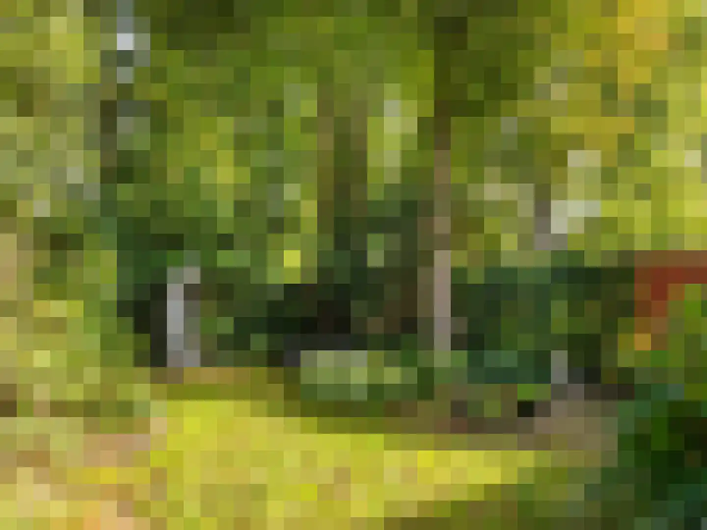 Kloosterlaan 3 Bergen (NH) thumbnail 5