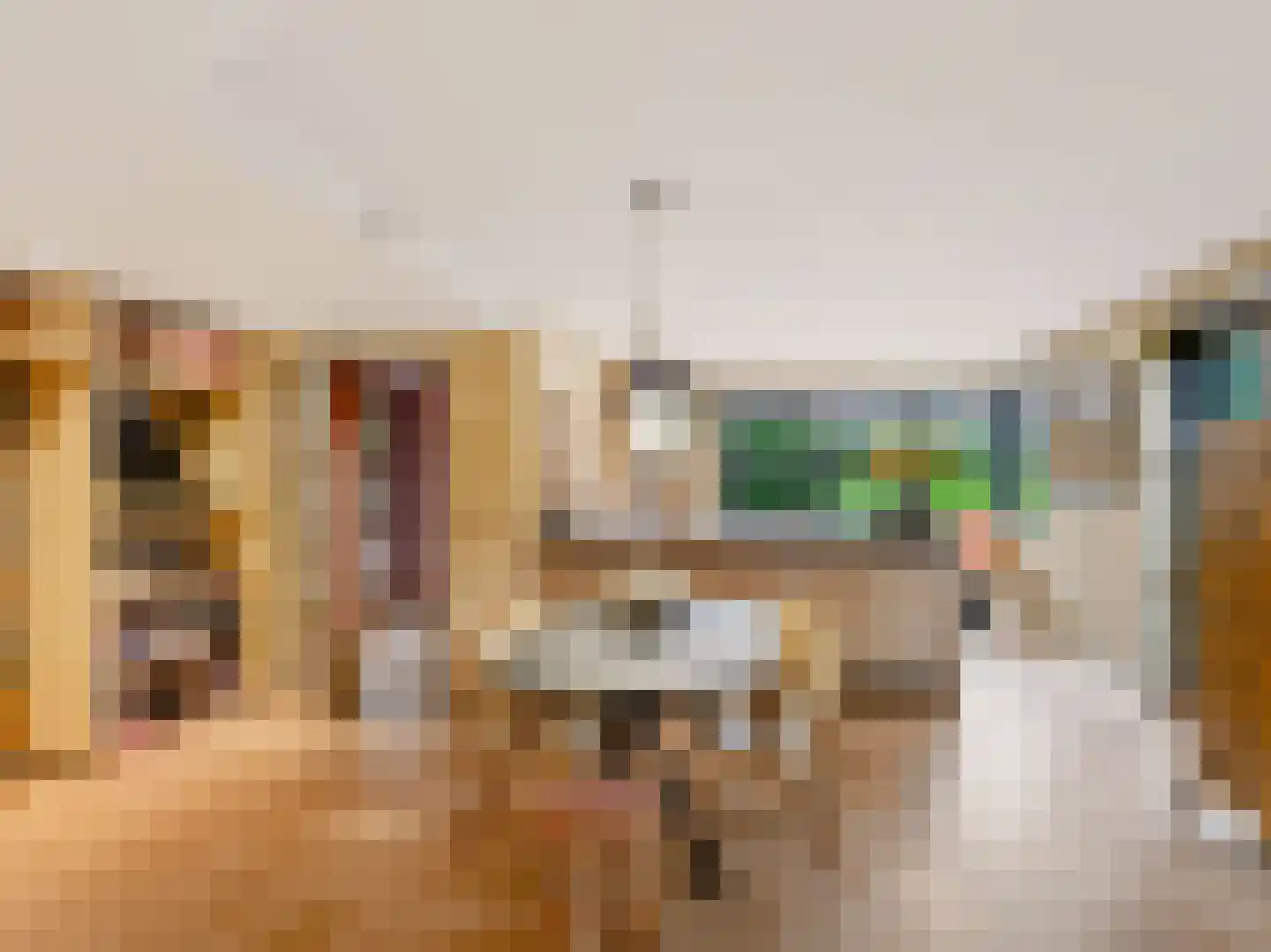 Kloosterlaan 3 Bergen (NH) thumbnail 9