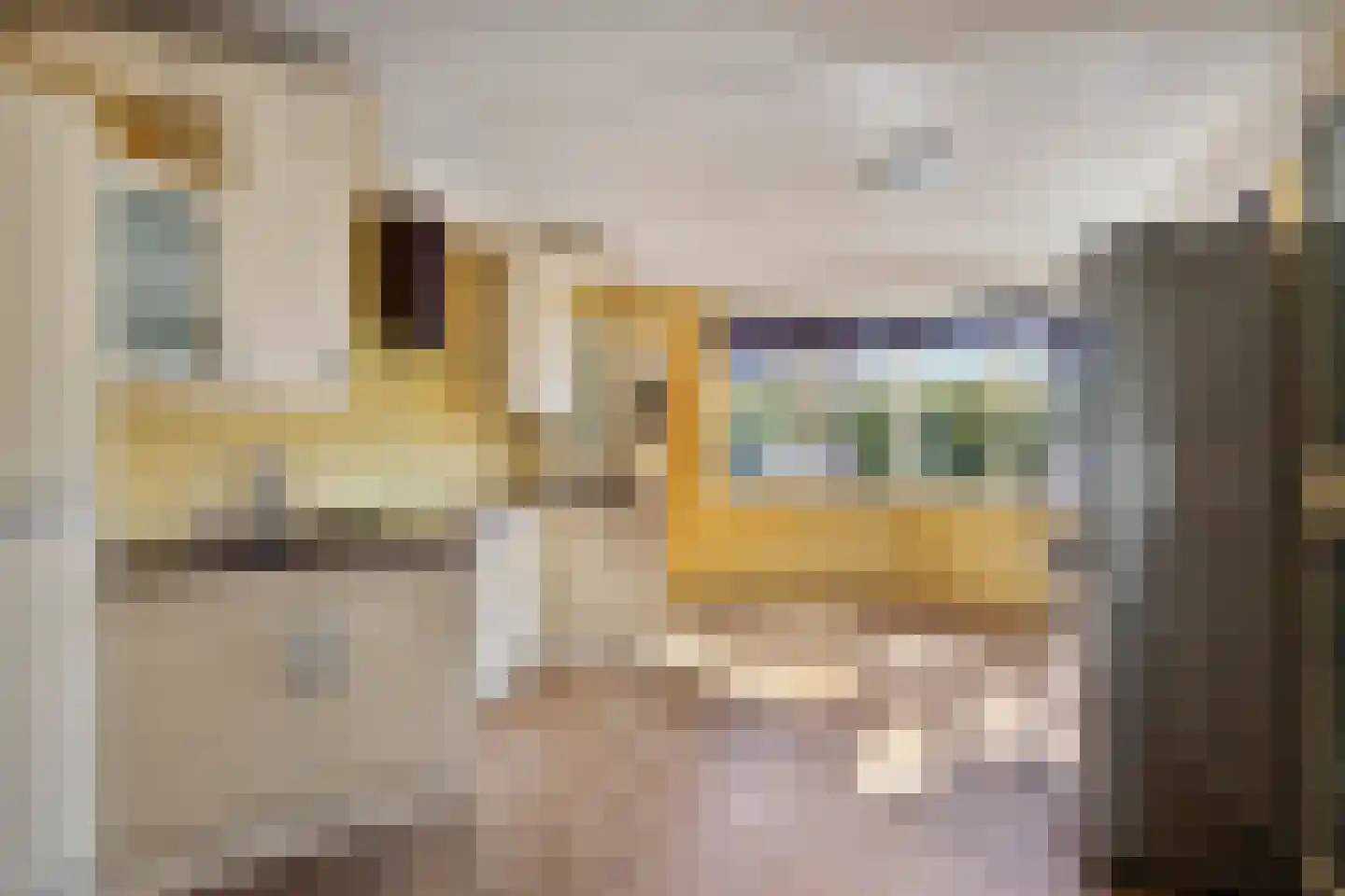 Kloosterlaan 32 Bergen (NH) thumbnail 12