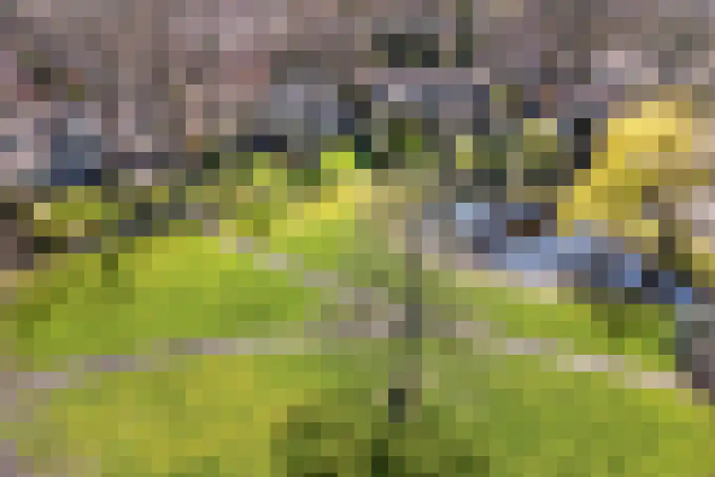 Kloosterlaan 32 Bergen (NH) thumbnail 31