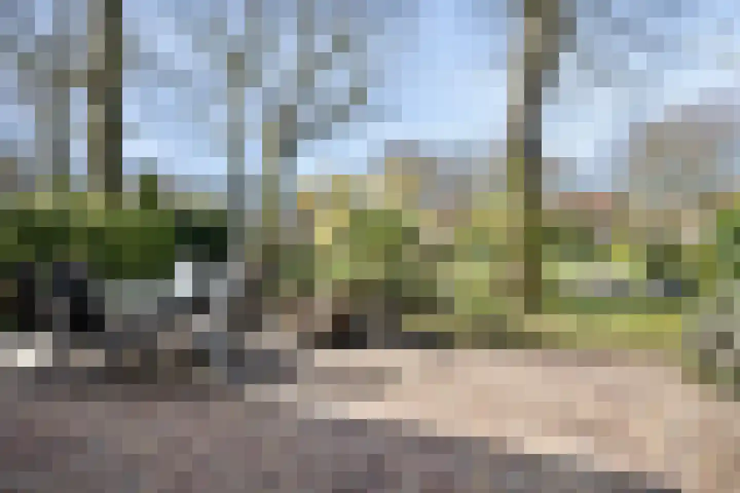 Kloosterlaan 32 Bergen (NH) thumbnail 35