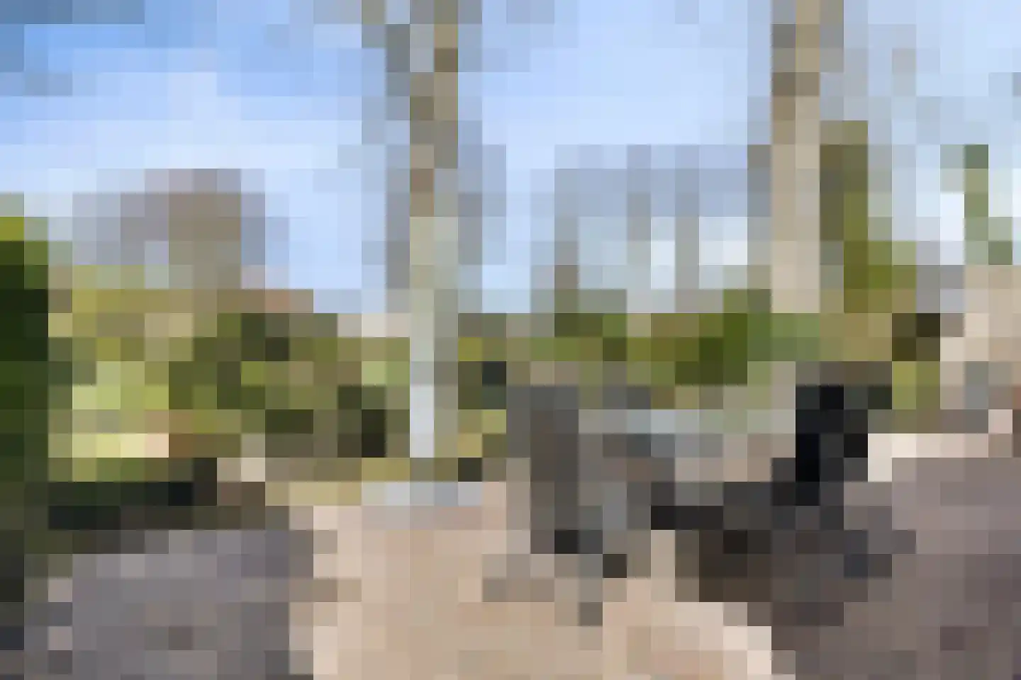 Kloosterlaan 32 Bergen (NH) thumbnail 36