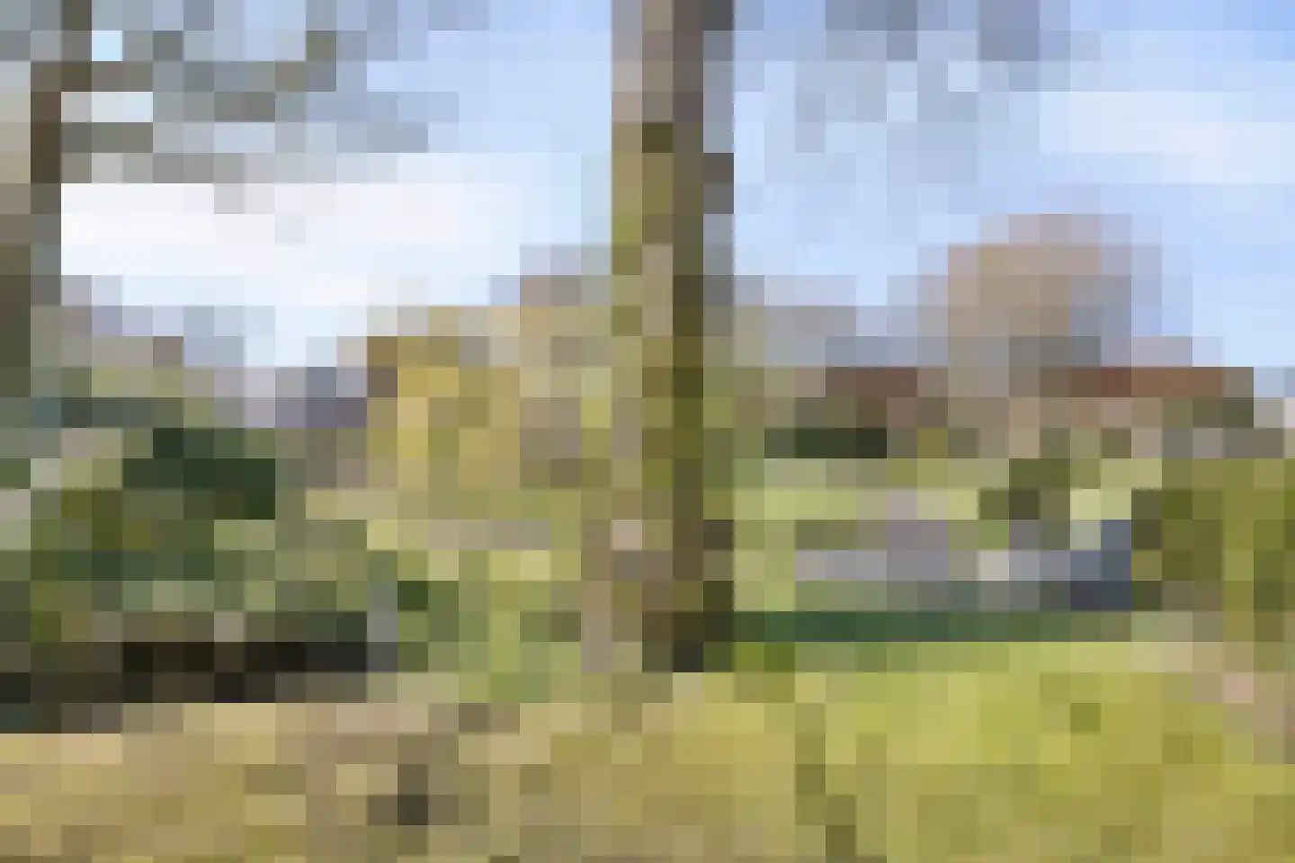Kloosterlaan 32 Bergen (NH) thumbnail 37