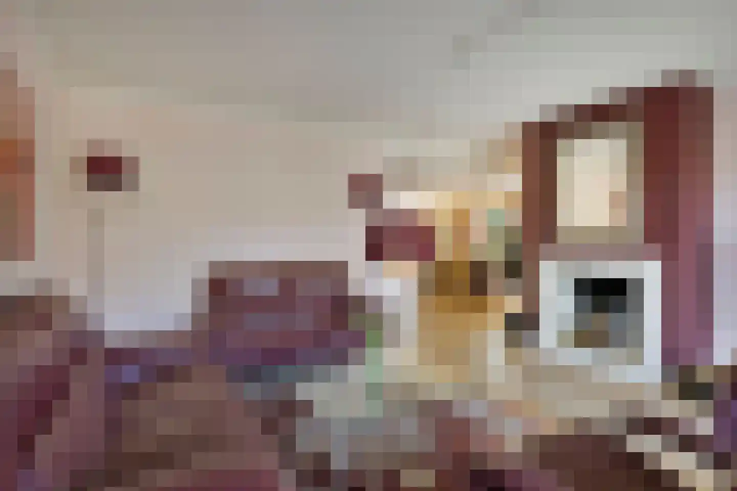 Kloosterlaan 32 Bergen (NH) thumbnail 7