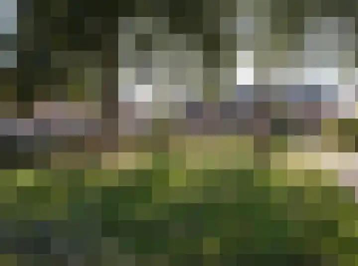 Kloosterlaan 34 Etten-Leur thumbnail 40