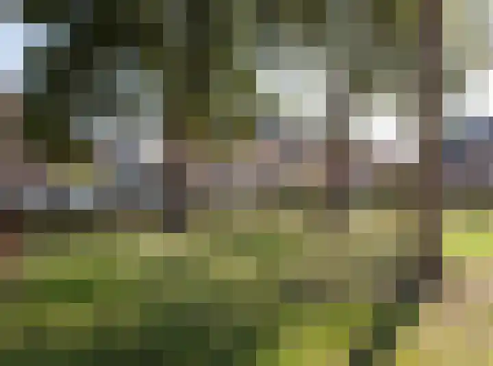 Kloosterlaan 34 Etten-Leur thumbnail 41
