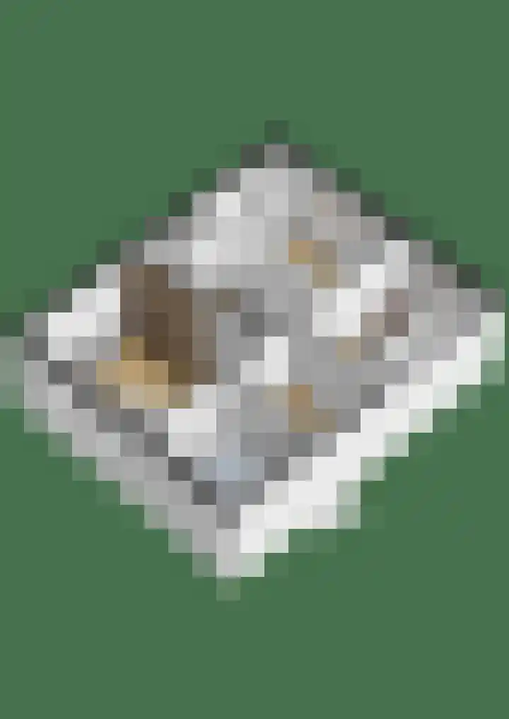 Kloosterlaan 34 Etten-Leur thumbnail 45