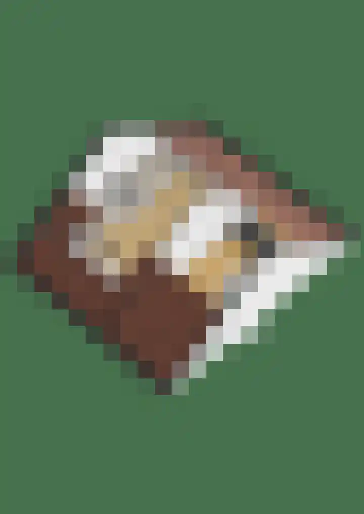 Kloosterlaan 34 Etten-Leur thumbnail 47