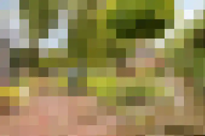 Kloosterlaan 38 Schinveld thumbnail 35