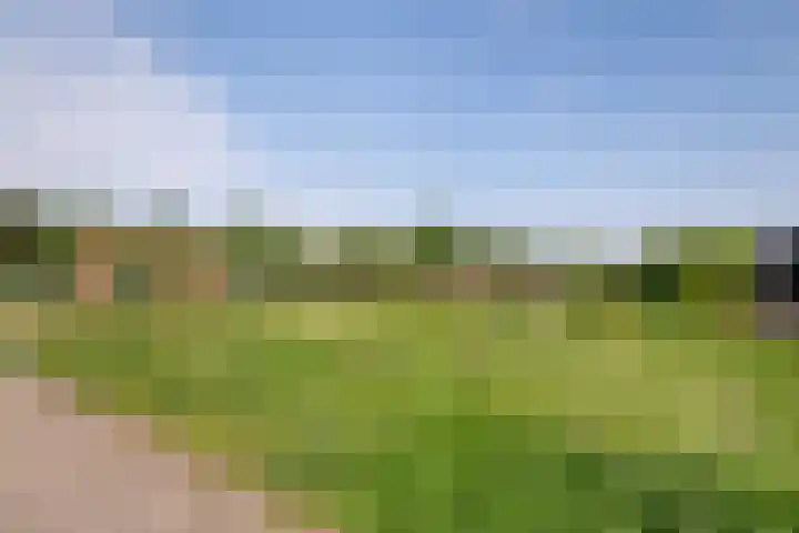 Kloosterlaan 39 Goor thumbnail 26