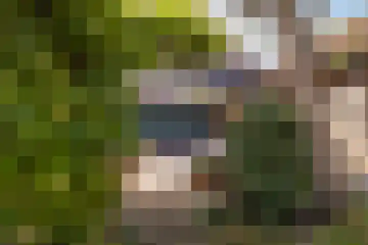 Kloosterlaan 39 Goor thumbnail 4