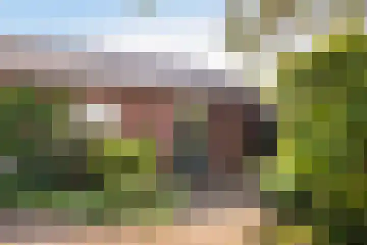Kloosterlaan 39 Goor thumbnail 6