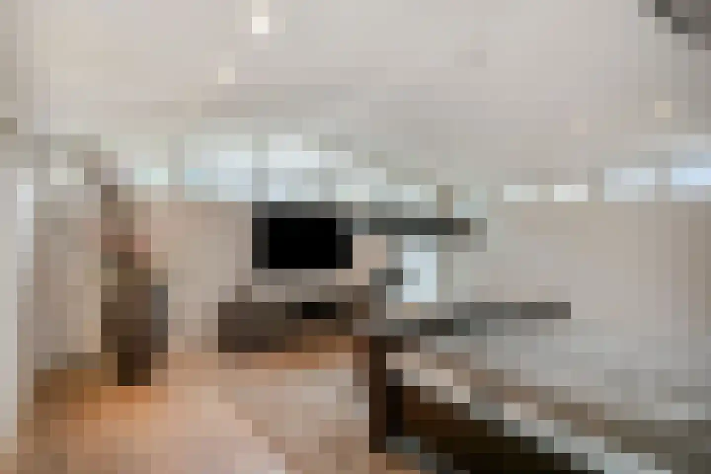 Kloosterlaan 4 Huissen thumbnail 20