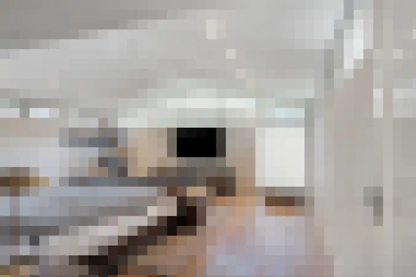 Kloosterlaan 4 Huissen thumbnail 21