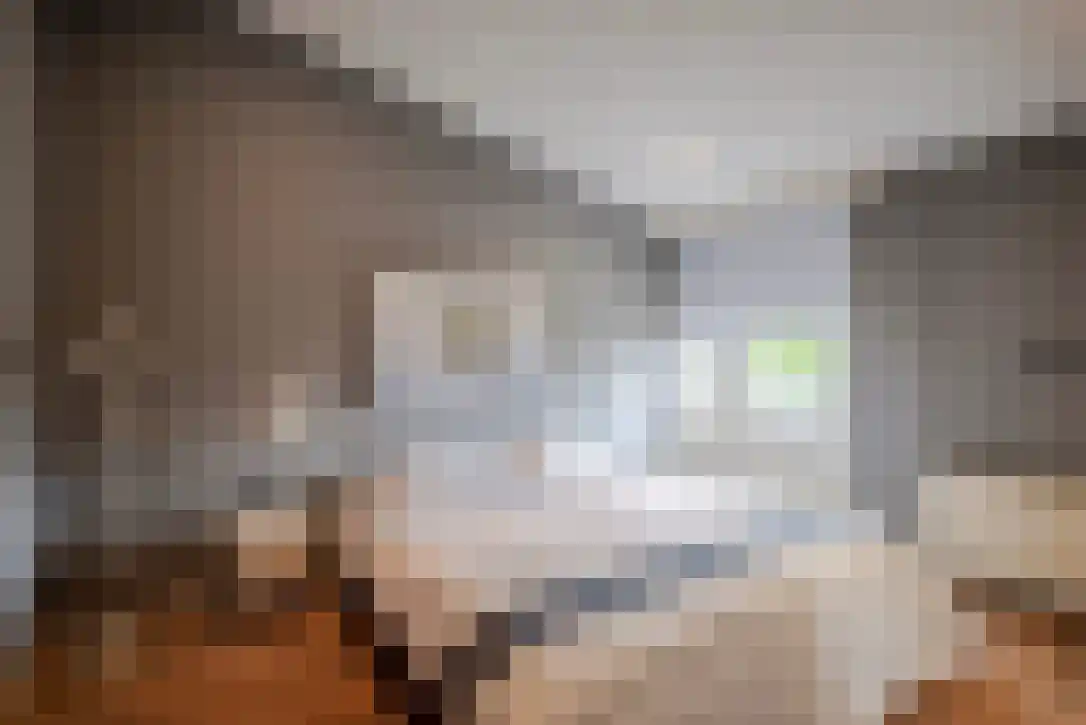Kloosterlaan 4 Huissen thumbnail 27